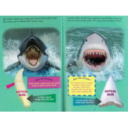 Who Would Win?® Killer Whale vs. Great White Shark