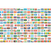 Usborne Book and Jigsaw: Flags of the World (300塊) (拼圖尺寸：59cm x 40cm)